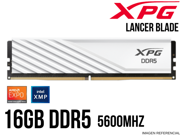 MEMORIA RAM XPG 16GB 5600MHZ LANCER BLADE WHITE