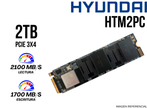 SSD, HYUNDAI, M.2 2TB PCLE 3.0 2100MB/S HTM2PC